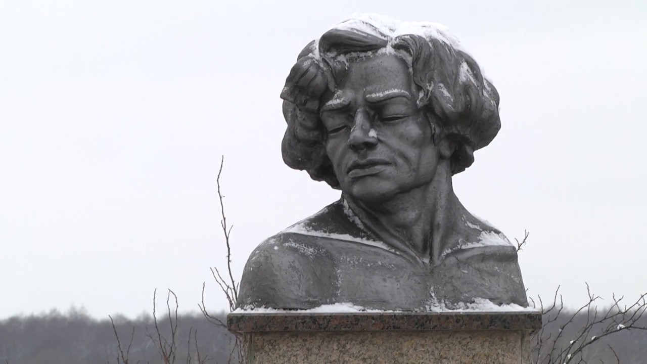 Бюст В.Я. Ерошенко Скульптор-художник В.Н. Колесников